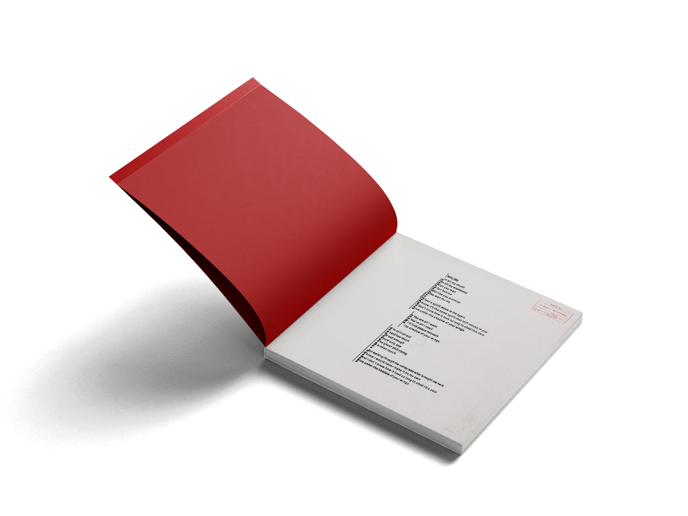 RUSHMERE: 'Almost Places Recycled Red Vinyl' Deluxe LP (Signed) - Image 6
